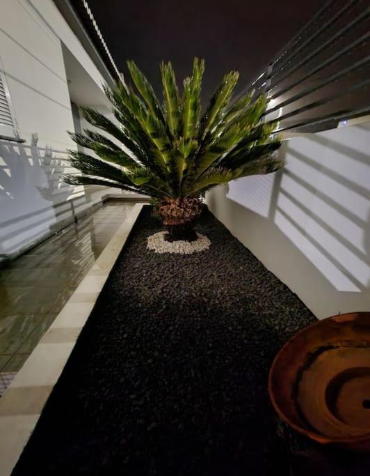 Apartment Da Pesca House